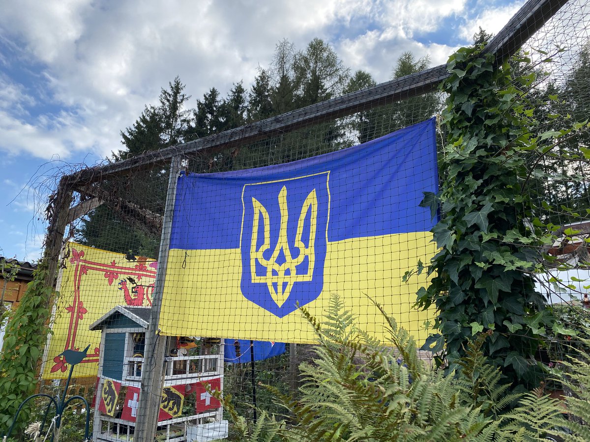 Happy Ukraine Flag Day 🇺🇦🫡
#SlavaUkraine #UkrainianFlagDay #NAFO #NAFOExpansionIsNonNegotiable #NafoCatsDivission (there is Flummi 🐈‍⬛ on the picture as well, can you spot him?)