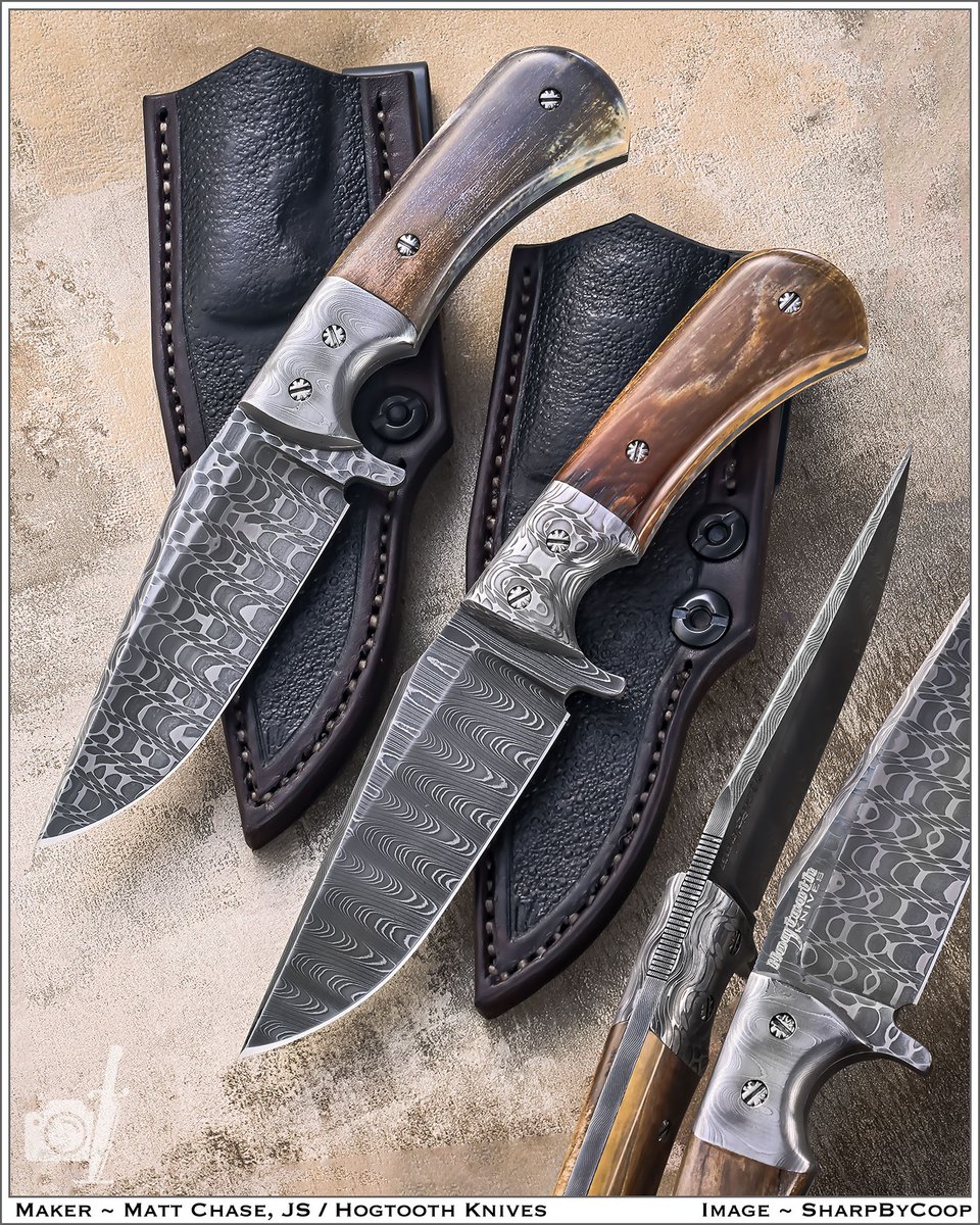 SharpByCoop Photography tweet media