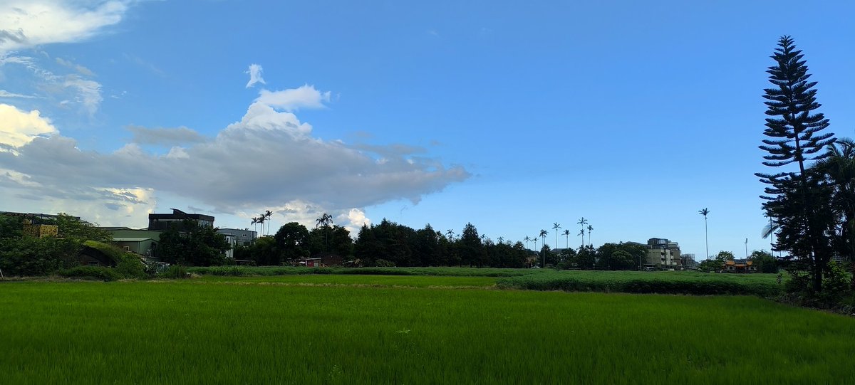 郁叔叔 tweet media