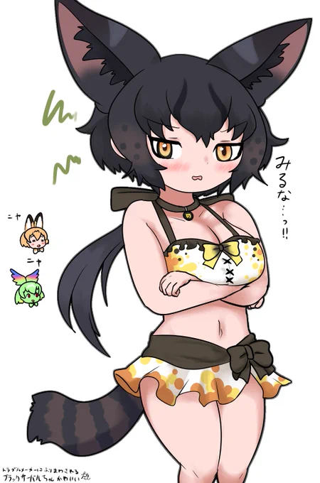 #同じキャラですが異なる装備の姿を晒す見た人もやる