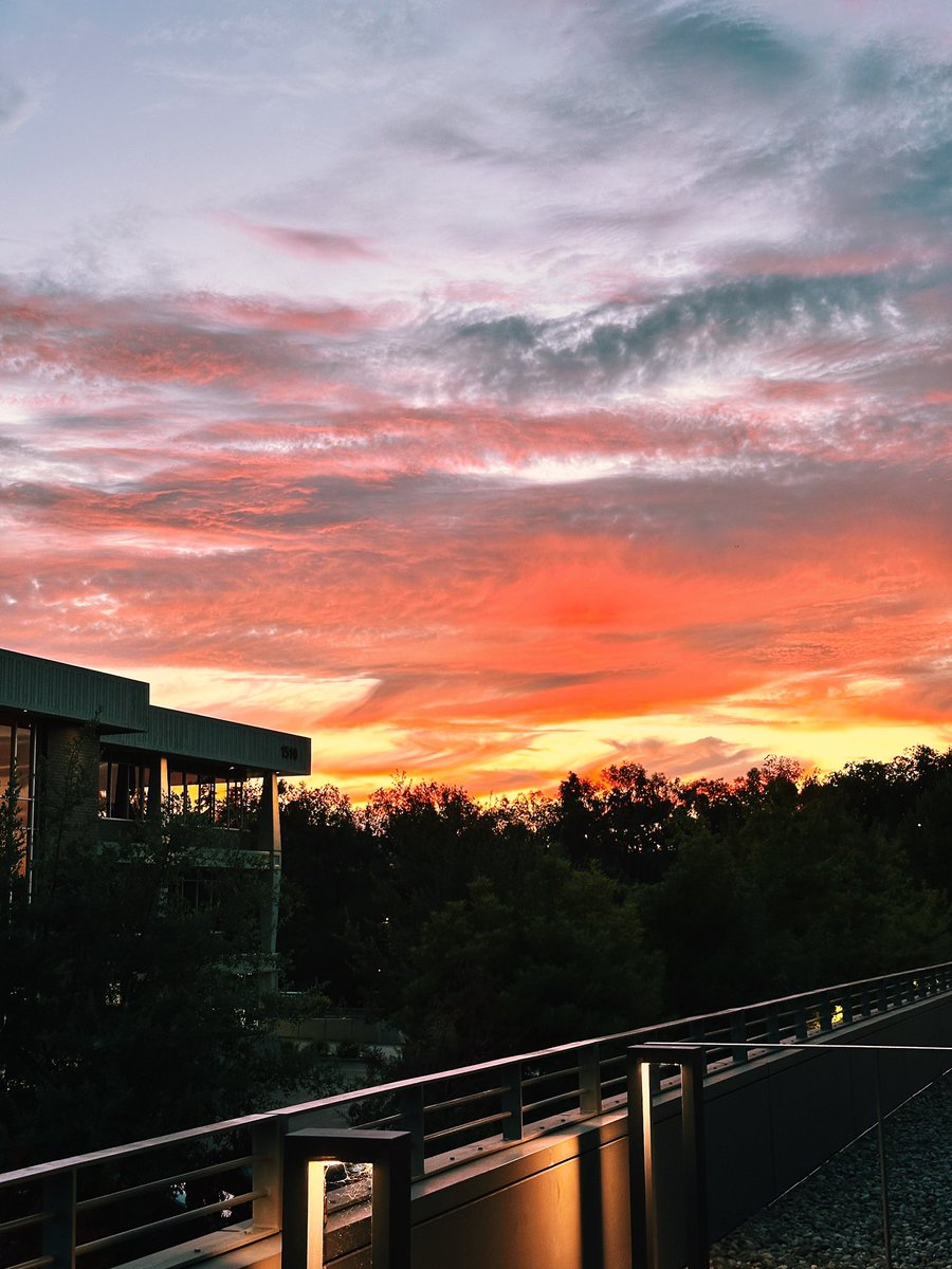 jijithekitty's tweet photo. can’t wait to lose my will to live when the sun sets at 4pm https://t.co/rL03UYwlg7