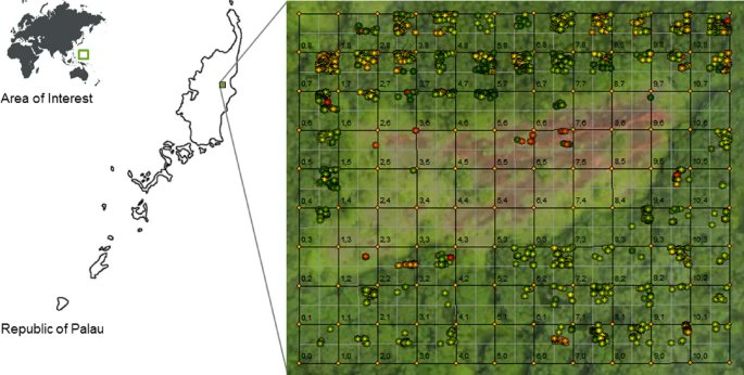 BenjaminJCrain's tweet image. New publication from Smithsonian et al. terrestrial orchid conservation in Palau:
link.springer.com/article/10.100…