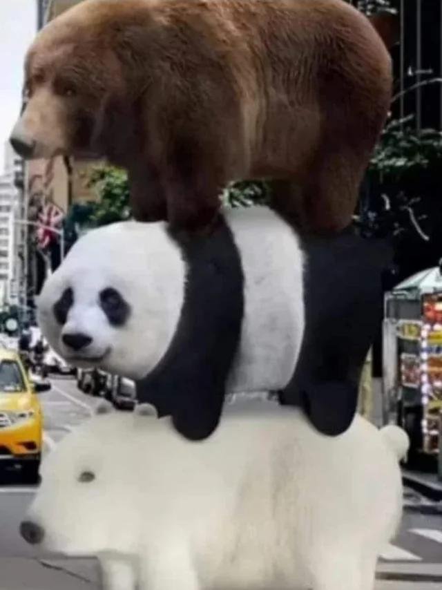 ⚡︎𝑹𝒐𝒈𝒖𝒆⚡︎ (@shaditronprime) on Twitter photo 