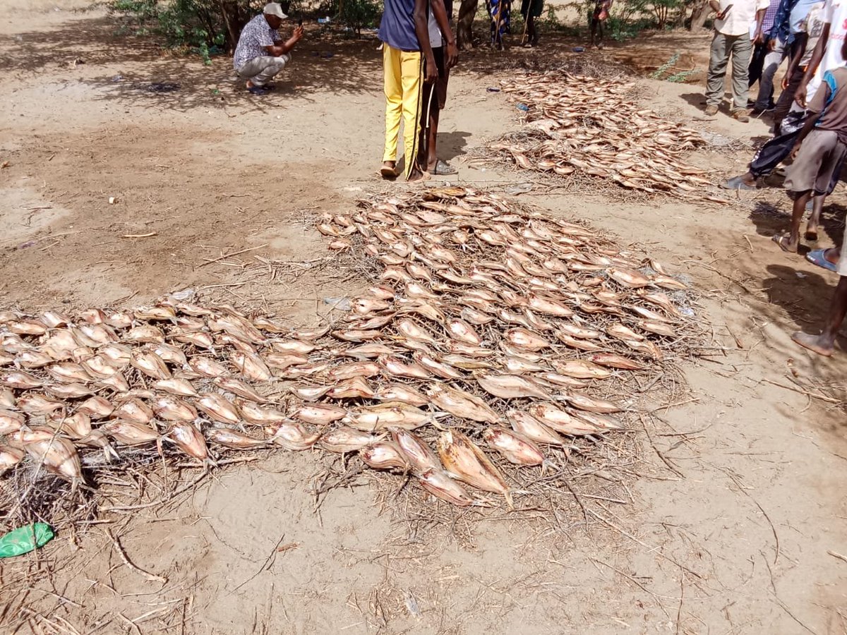 Sustainable Approaches for Communities Empowerment tweet media