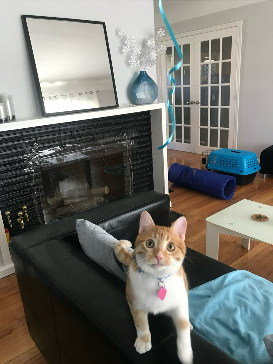 Gracie (&Fynn🌈) tweet media