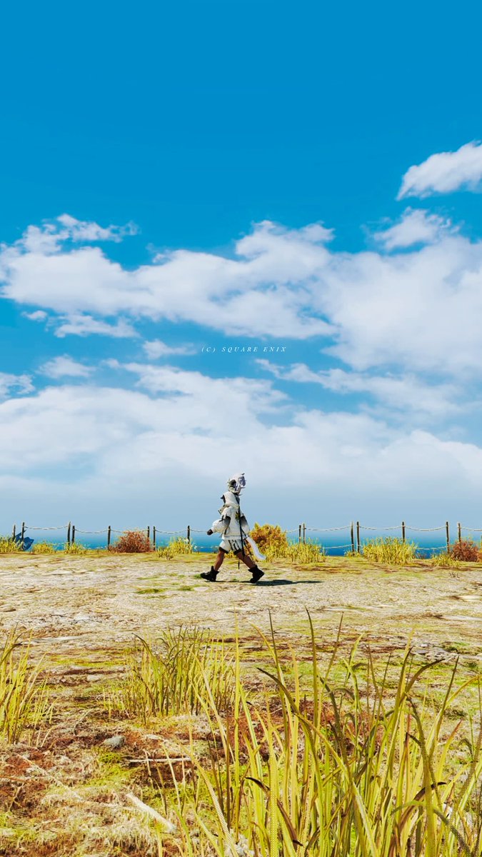 #FFXIV