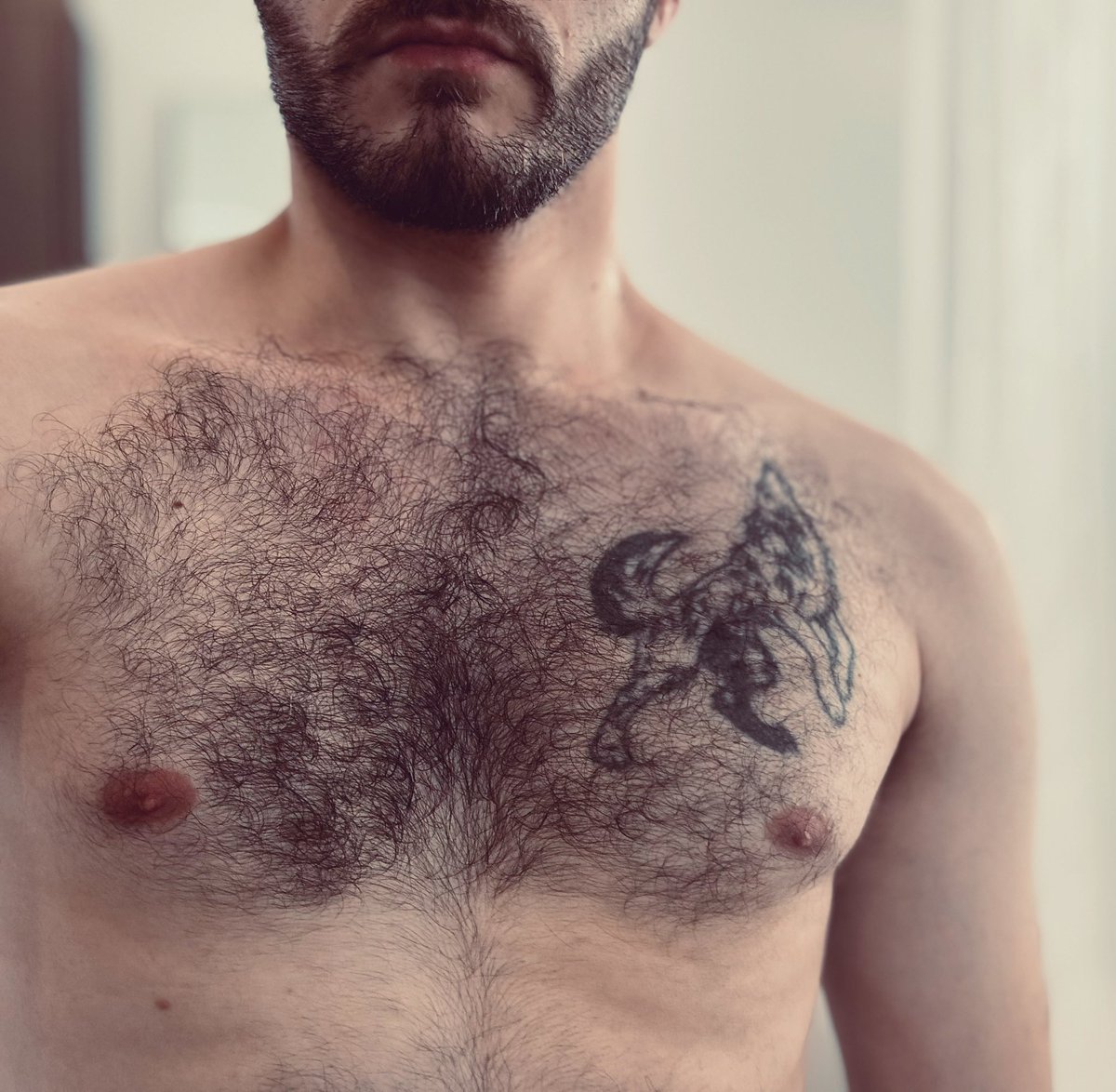 Quelque part sur mon Torse : un poil blanc ! Bonne recherche 👀