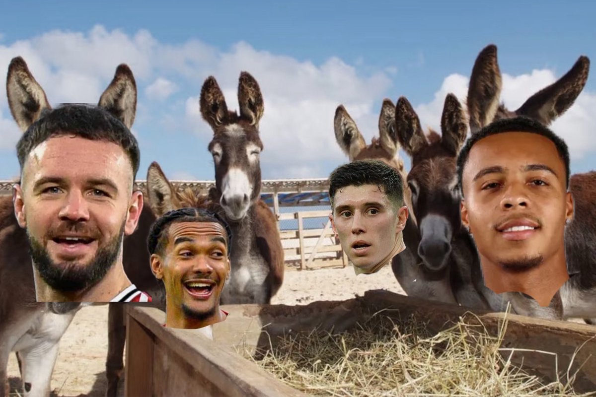 🤣🤣😬 #SaintsFC