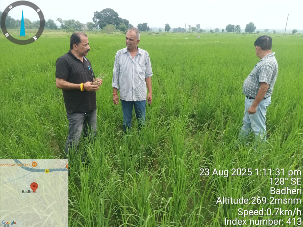 KVK Samba@OFFICIAL (@sambakvk) on Twitter photo Visit in the Paddy field of Farmer: Sh.Bal Krishan ji R/o Supwal , Vijaypur Iin Samba district <a href="/AgriGoI/">Agriculture INDIA</a> <a href="/atari1icar/">ICAR-ATARI, Ludhiana</a> <a href="/ChouhanShivraj/">Shivraj Singh Chouhan</a> <a href="/ChouhanShivraj/">Shivraj Singh Chouhan</a> <a href="/radionews_jammu/">Akashvani News Jammu</a> <a href="/SKUASTJammu/">SKUAST- Jammu</a> Visit in the Paddy field of Farmer: Sh.Bal Krishan ji R/o Supwal , Vijaypur Iin Samba district <a href="/AgriGoI/">Agriculture INDIA</a> <a href="/atari1icar/">ICAR-ATARI, Ludhiana</a> <a href="/ChouhanShivraj/">Shivraj Singh Chouhan</a> <a href="/ChouhanShivraj/">Shivraj Singh Chouhan</a> <a href="/radionews_jammu/">Akashvani News Jammu</a> <a href="/SKUASTJammu/">SKUAST- Jammu</a>