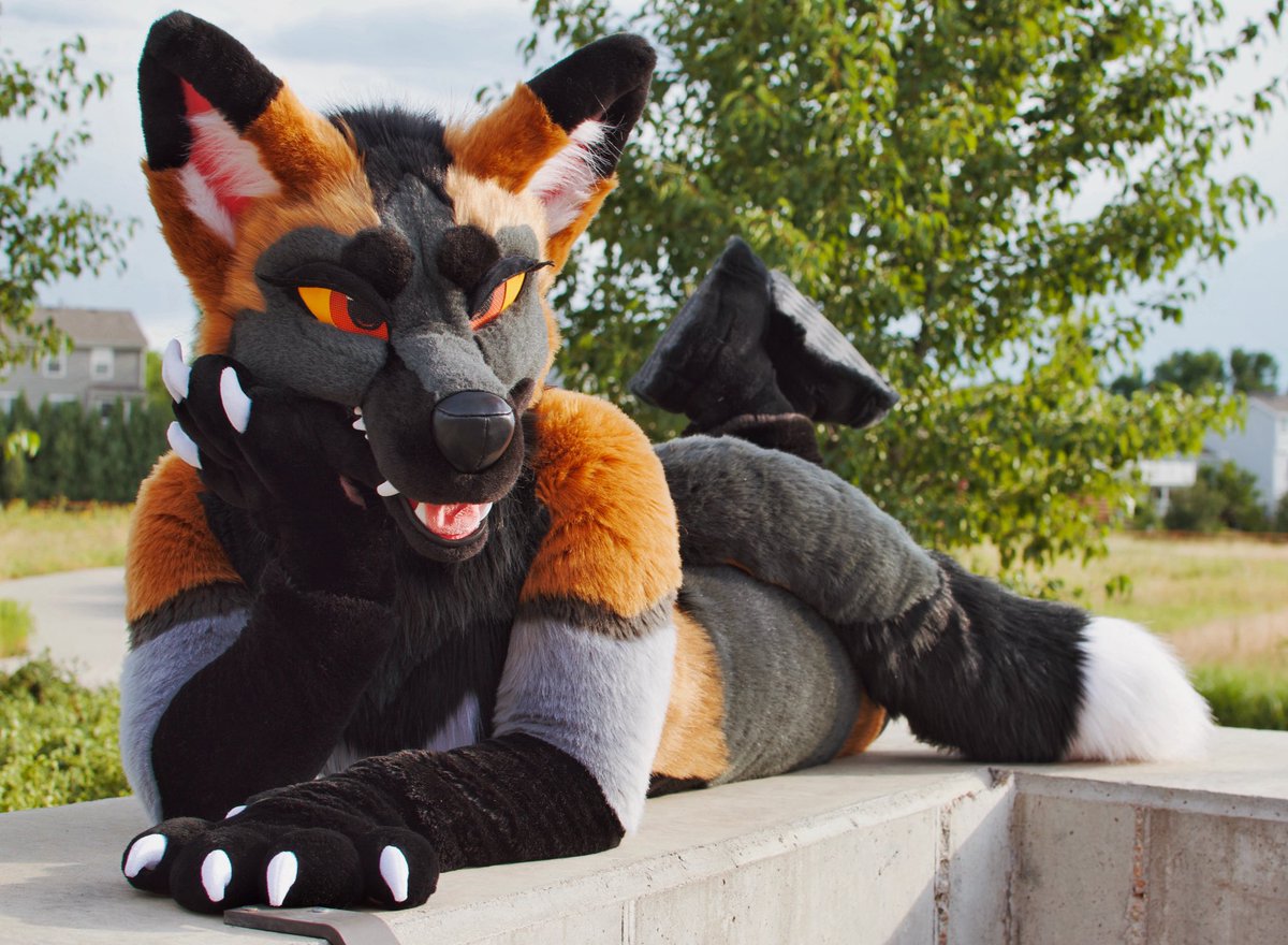 brb rolling on the ground because I finally have a suit that’s not all white 🏃‍♀️‍➡️

✂️ <a href="/FoxtrotFursuits/">Foxtrot Fursuits</a>