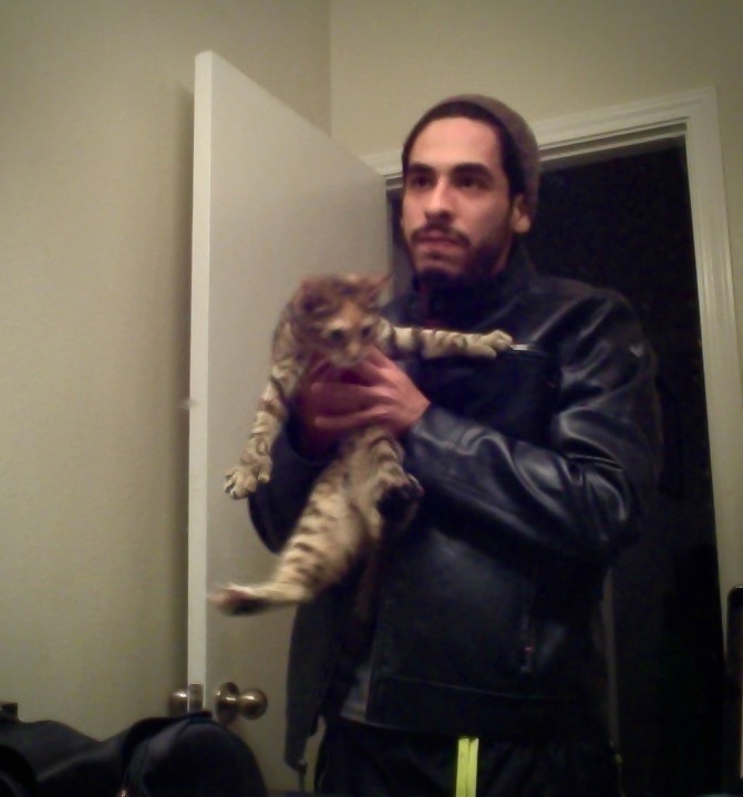 This random cat would visit daily. 

He would stroll in, sniff around, then wait by the door to go back outside. 

He didn't want food or pets, just vibes.   

Miss him! #cats #catstories