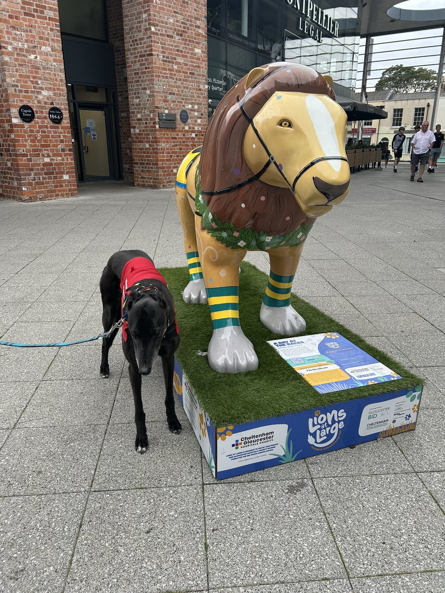 I’ve made it to Cheltenham &amp; stocked up on some treats <a href="/bemorebob2/">BeMoreBob</a> &amp; found some more lions but all our paws are tired so I’ve crashed in <a href="/Mowglistfood/">Mowgli Street Food (Nisha Katona)</a> hopefully we can find a few more lions on way back to the car