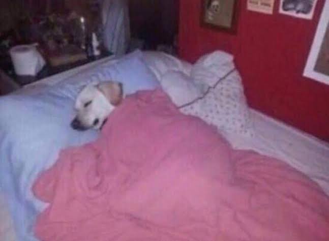 2cyclic's tweet image. //   being soul-sucked levels of tired means im only catching onto the "understanding my ship" trend now but i will do more tomorrow feat. ari drawings bc i think they're funny 🙂‍↕️ feel free to throw them at me too moots just for the kick of it,   but anyways