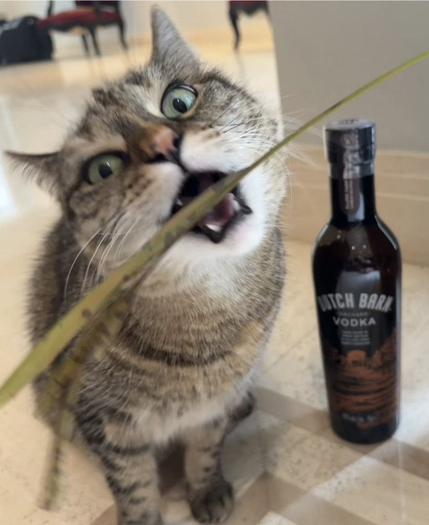 If she can destroy my office plants, she can advertise my booze. Dutch Barn.