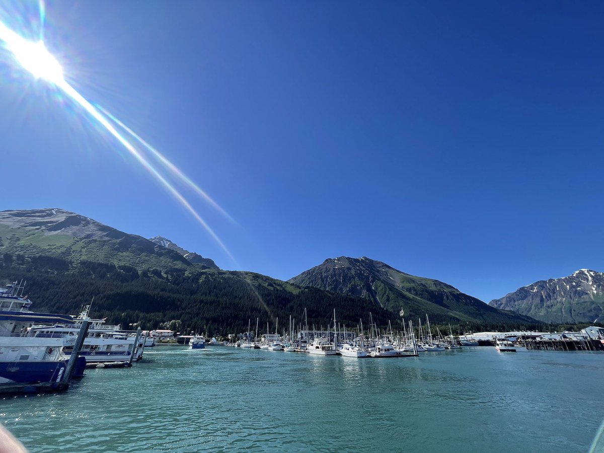 Fenton Reed tweet media