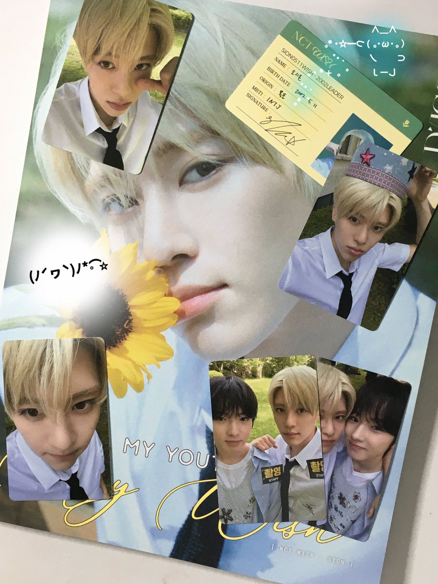 이정도로예쁠줄은몰랏죠!!!!!!!🫰🫰