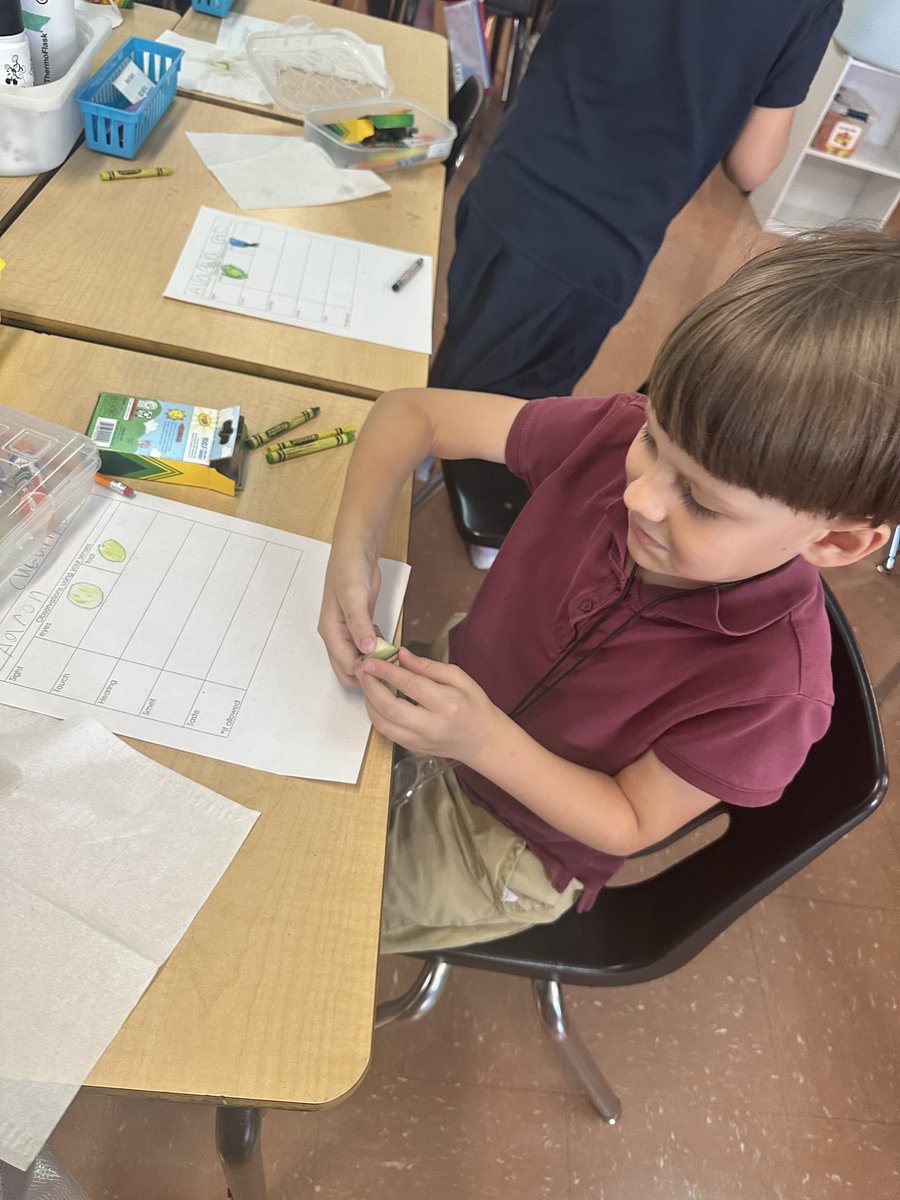 Using our 5 senses and tools to make observations like scientists <a href="/TurnerBartelsK8/">Turner/Bartels K8</a>! <a href="/HCPSElemScience/">HCPSElemScience</a>