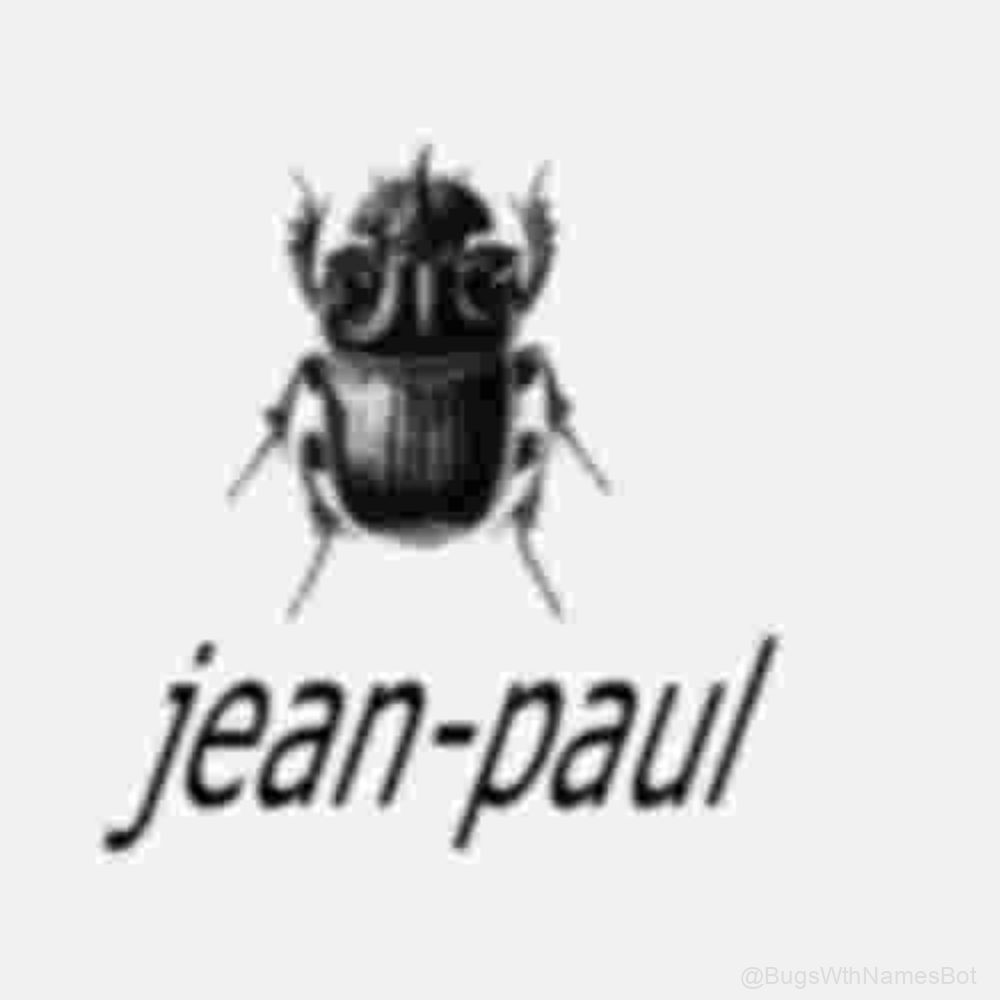 BugsWthNamesBot's tweet image. 🪲 Jean-Paul