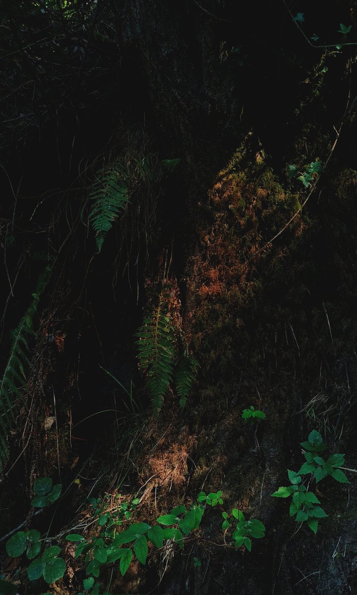 19825 (non molto da salvare)