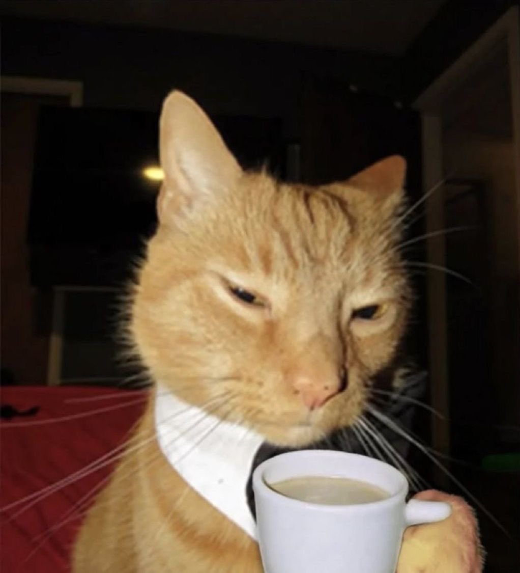 Baraa🐱 (@braauwu) on Twitter photo 