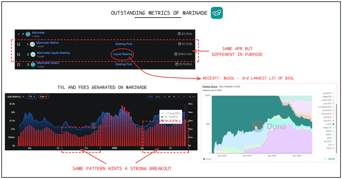 Outstanding metrics of Marinade Finance including TVL, fees, and market share charts