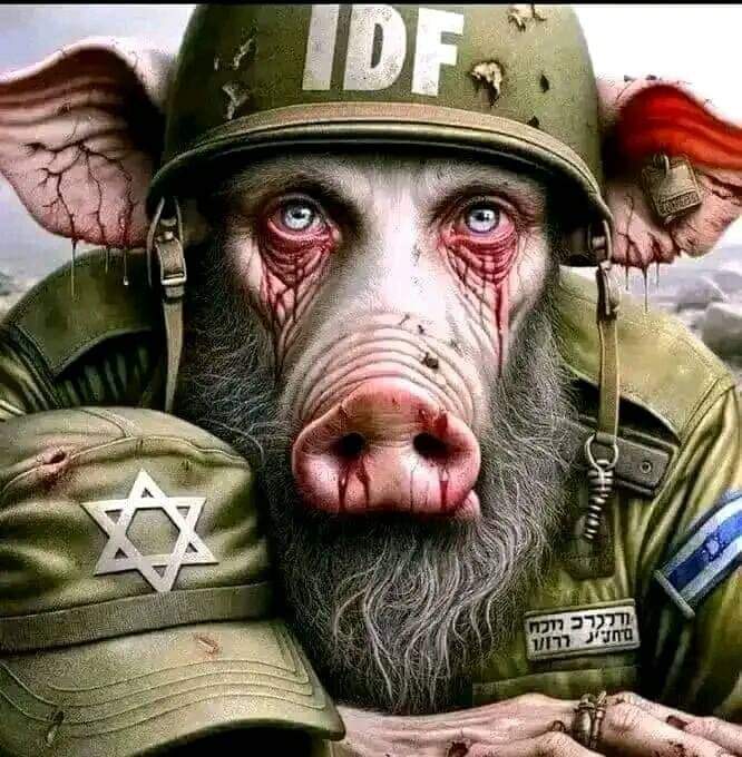 Sailor® ☠️ (@sailor_tut) on Twitter photo <a href="/abuviktor1/">Леонид Коган 🇮🇱</a> В Газе более 2 млн человек
Мало того, что сионистские жиды держат их в блокаде и люди умирают от голода, так теперь жидовские свиньи собираются их всех убить. <a href="/abuviktor1/">Леонид Коган 🇮🇱</a> В Газе более 2 млн человек
Мало того, что сионистские жиды держат их в блокаде и люди умирают от голода, так теперь жидовские свиньи собираются их всех убить.