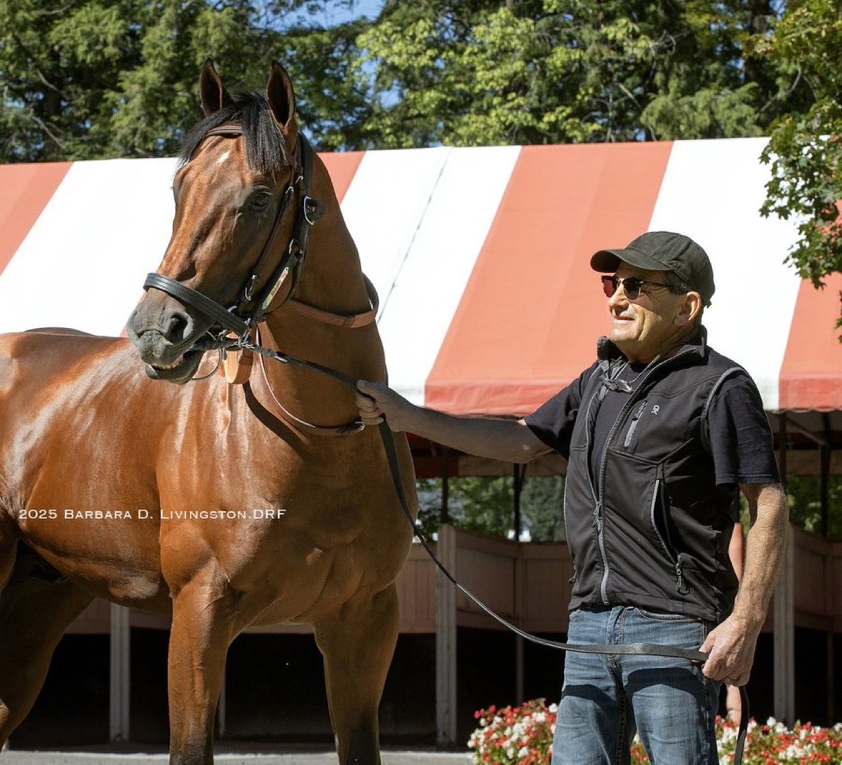 X-Men Racing tweet media