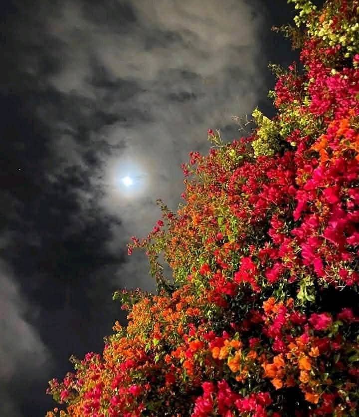 RANA (lover pti) (@fk0_1) on Twitter photo #PAK_PG
<a href="/0fozi_/">Fauzia</a> <a href="/frq04/">Muhammad Farooq Ahmad</a> <a href="/Rnapti/">SHAHID💚PK</a>
<a href="/Fk0_1/">Shahid (lover pti)</a> <a href="/786F_/">Shahid</a> <a href="/S111_9/">SHAHID MEHMOOD</a> <a href="/s4566_/">(PTI)</a>
<a href="/P0_27/">PTI _ PROMO</a> <a href="/1i2Ua/">🇦 🇭 🇲 🇪 🇩 🇷 🇮 🇦 🇿𝓲𝓹𝓲𝓪𝓷</a> <a href="/1i3Ua/">🇦 🇭 🇲 🇪 🇩</a>
<a href="/58Yas_/">Muhammad Yaseen</a> <a href="/TP7i1/">★☯𝑩𝒉𝒂𝒊༒〄</a>
<a href="/shz787/">🌟⭐️🌟🌟sʜᴀʜᴢᴀᴅ ᴍᴜɴɪʀ🌟⭐️🌟⭐️</a>
<a href="/shZ447/">🌻🌻🌻𝕊𝕙𝕒𝕙𝕫𝕒𝕕 𝕄𝕦𝕟𝕚𝕣🌻🌻🌻</a>
<a href="/Trq88/">✍︎⸙𝐓αɾιϙ 𝐌υɾƚαȥα࿈</a> <a href="/Triq25/">⤹𝙈𝙪𝙝𝙖𝙢𝙢𝙖𝙙 𝙏𝙖𝙧𝙞𝙦⤸</a>
<a href="/Khld36/">✍𝙆𝙝𝙖𝙡𝙞𝙙 𝙃𝙪𝙨𝙖𝙞𝙣✍⳼</a> <a href="/Frhn42/">★𝙁𝙧𝙝𝙖𝙣 𝘼𝙝𝙢𝙚𝙙★</a>
<a href="/TZB_5/">Chaudhary Tehzib</a> <a href="/FK_71/">FK_71</a> <a href="/Smm01/">Rana</a>
<a href="/imra0b/">Goat city Form</a> <a href="/imrnv/">CH Imran</a>
<a href="/_ah064/">Ahmad</a> <a href="/6Jan11/">jan</a>
<a href="/Jann064/">Ahmad Jan</a>
<a href="/Bla_Here/">🅰🅱🅳🆄🅻🅻🅰🅷𝓲𝓹𝓲𝓪𝓷</a>
<a href="/1Lvz0/">𝐿𝒶v𝑒𝑒𝓏𝒶_🍃</a> <a href="/ARNH_1/">عبدالرحمن</a> <a href="/F7861_/">Rana Fahid</a>
<a href="/frq06/">Farooq</a> <a href="/frq05/">Farooq Ahmad</a> <a href="/frq_3/">farooq mughal</a>
<a href="/0fozi/">Fauzia Hamid</a> <a href="/0MRK_/">Mahrukh Khan</a> <a href="/7Ambr/">Amber Baig</a> #PAK_PG
<a href="/0fozi_/">Fauzia</a> <a href="/frq04/">Muhammad Farooq Ahmad</a> <a href="/Rnapti/">SHAHID💚PK</a>
<a href="/Fk0_1/">Shahid (lover pti)</a> <a href="/786F_/">Shahid</a> <a href="/S111_9/">SHAHID MEHMOOD</a> <a href="/s4566_/">(PTI)</a>
<a href="/P0_27/">PTI _ PROMO</a> <a href="/1i2Ua/">🇦 🇭 🇲 🇪 🇩 🇷 🇮 🇦 🇿𝓲𝓹𝓲𝓪𝓷</a> <a href="/1i3Ua/">🇦 🇭 🇲 🇪 🇩</a>
<a href="/58Yas_/">Muhammad Yaseen</a> <a href="/TP7i1/">★☯𝑩𝒉𝒂𝒊༒〄</a>
<a href="/shz787/">🌟⭐️🌟🌟sʜᴀʜᴢᴀᴅ ᴍᴜɴɪʀ🌟⭐️🌟⭐️</a>
<a href="/shZ447/">🌻🌻🌻𝕊𝕙𝕒𝕙𝕫𝕒𝕕 𝕄𝕦𝕟𝕚𝕣🌻🌻🌻</a>
<a href="/Trq88/">✍︎⸙𝐓αɾιϙ 𝐌υɾƚαȥα࿈</a> <a href="/Triq25/">⤹𝙈𝙪𝙝𝙖𝙢𝙢𝙖𝙙 𝙏𝙖𝙧𝙞𝙦⤸</a>
<a href="/Khld36/">✍𝙆𝙝𝙖𝙡𝙞𝙙 𝙃𝙪𝙨𝙖𝙞𝙣✍⳼</a> <a href="/Frhn42/">★𝙁𝙧𝙝𝙖𝙣 𝘼𝙝𝙢𝙚𝙙★</a>
<a href="/TZB_5/">Chaudhary Tehzib</a> <a href="/FK_71/">FK_71</a> <a href="/Smm01/">Rana</a>
<a href="/imra0b/">Goat city Form</a> <a href="/imrnv/">CH Imran</a>
<a href="/_ah064/">Ahmad</a> <a href="/6Jan11/">jan</a>
<a href="/Jann064/">Ahmad Jan</a>
<a href="/Bla_Here/">🅰🅱🅳🆄🅻🅻🅰🅷𝓲𝓹𝓲𝓪𝓷</a>
<a href="/1Lvz0/">𝐿𝒶v𝑒𝑒𝓏𝒶_🍃</a> <a href="/ARNH_1/">عبدالرحمن</a> <a href="/F7861_/">Rana Fahid</a>
<a href="/frq06/">Farooq</a> <a href="/frq05/">Farooq Ahmad</a> <a href="/frq_3/">farooq mughal</a>
<a href="/0fozi/">Fauzia Hamid</a> <a href="/0MRK_/">Mahrukh Khan</a> <a href="/7Ambr/">Amber Baig</a>