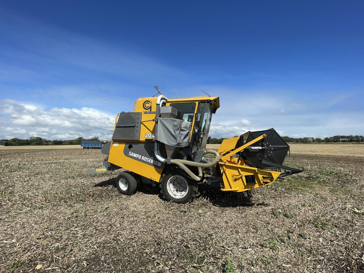 The last plot of <a href="/Goldcrop/">Goldcrop</a> trials at Shanagarry for 2025. Everything done &amp; dusted for 2025. I adore a dry summer 🌾🌞🌾