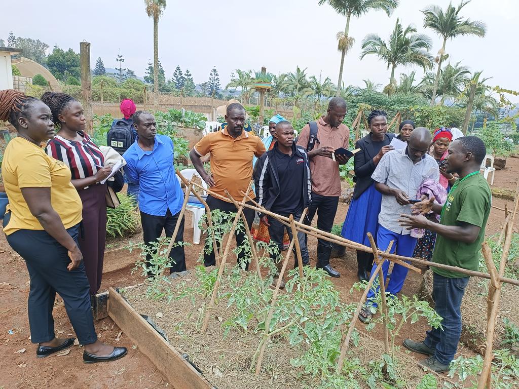 Seeds of Gold Farm Clinic day one ends, 2moro is the last day, organised by <a href="/NARO_MUZARDI/">NARO_MUZARDI</a> in conjunction with @nationmediagroup. <a href="/BarbaraZawedde/">Barbara M Zawedde</a> <a href="/narouganda/">NARO Uganda</a>