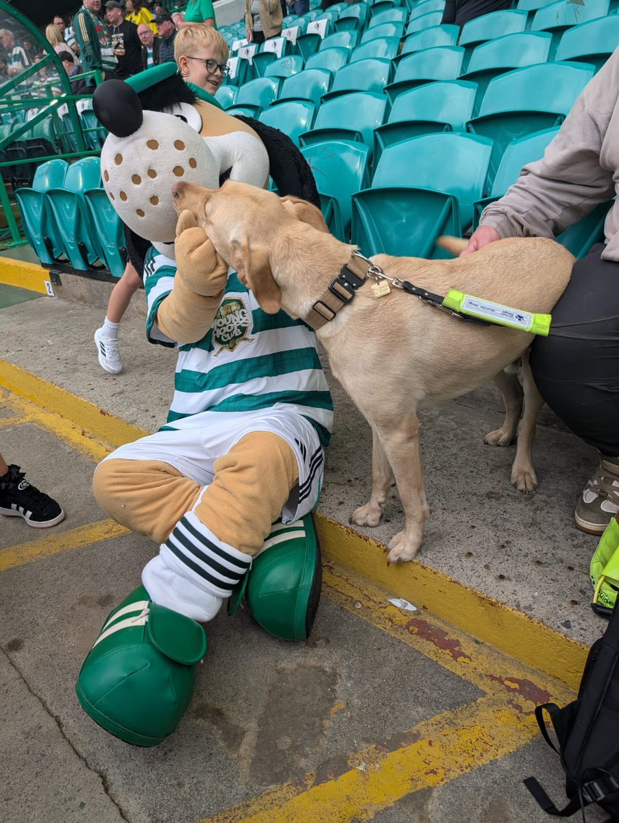 Jon Attenborough (@jonattenborough) on Twitter photo When Harry met Hoopy!
Thanks <a href="/CelticFC/">Celtic Football Club</a> and <a href="/CelticFCDAO/">Celtic FC DAO</a> for having us along at today’s game. Harry loved his first experience at Celtic Park! When Harry met Hoopy!
Thanks <a href="/CelticFC/">Celtic Football Club</a> and <a href="/CelticFCDAO/">Celtic FC DAO</a> for having us along at today’s game. Harry loved his first experience at Celtic Park!