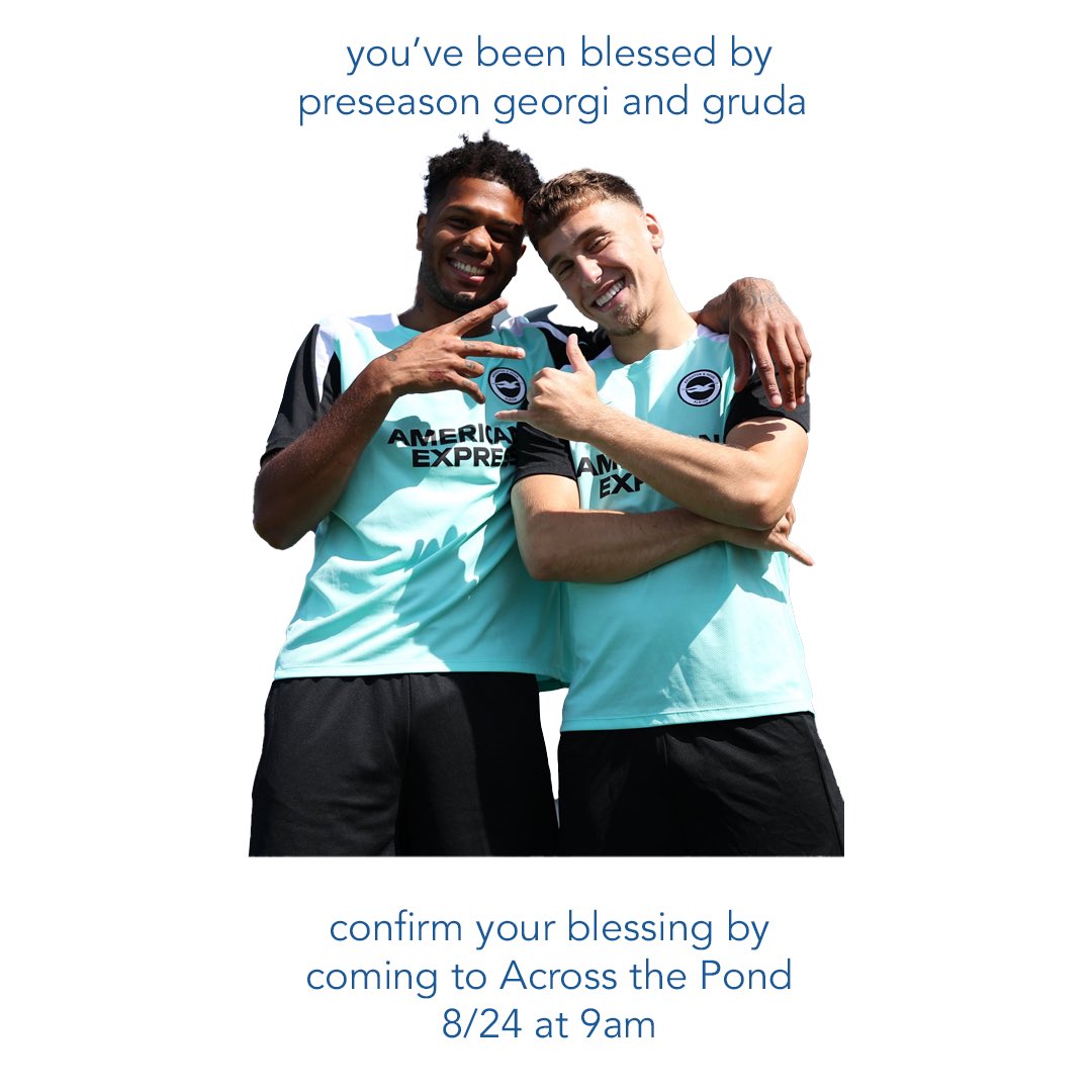 The DCGulls tweet media