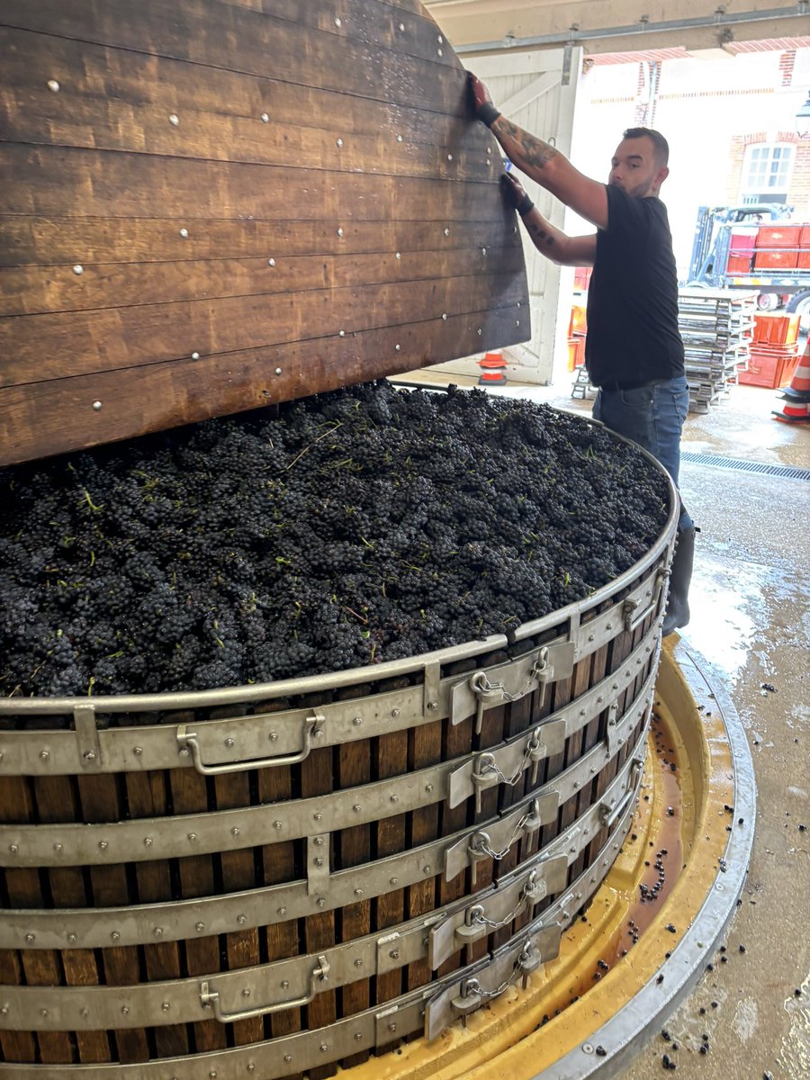 Day#1 #Harvest25 First press load of Ay, Pinot noir, from « La Gargeotte ». Just perfect balance! Well done #TeamRoederer #250thHarvest  #InPursuitofTaste -JBL