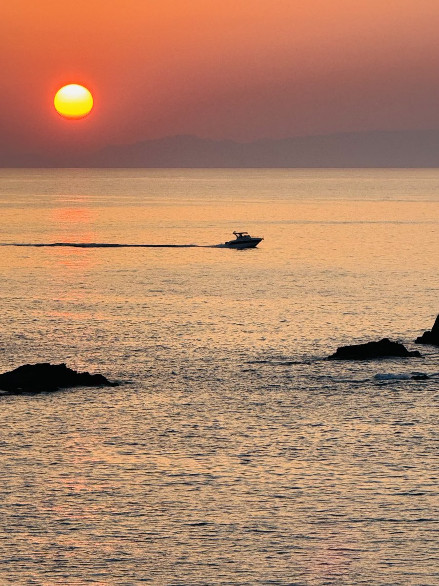 sunflower (@chr90688) on Twitter photo 