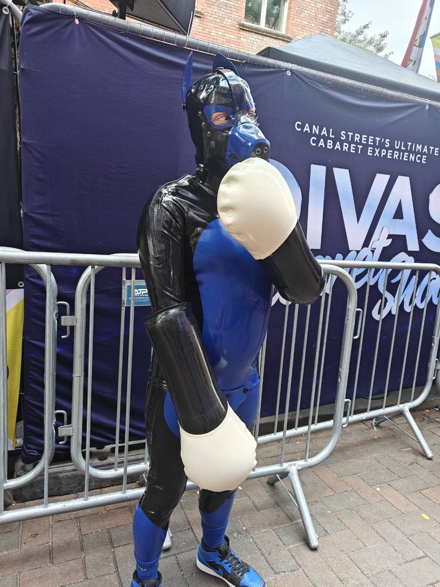 Shiny Pup tweet media