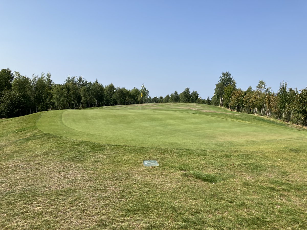 Amerifietser tweet media