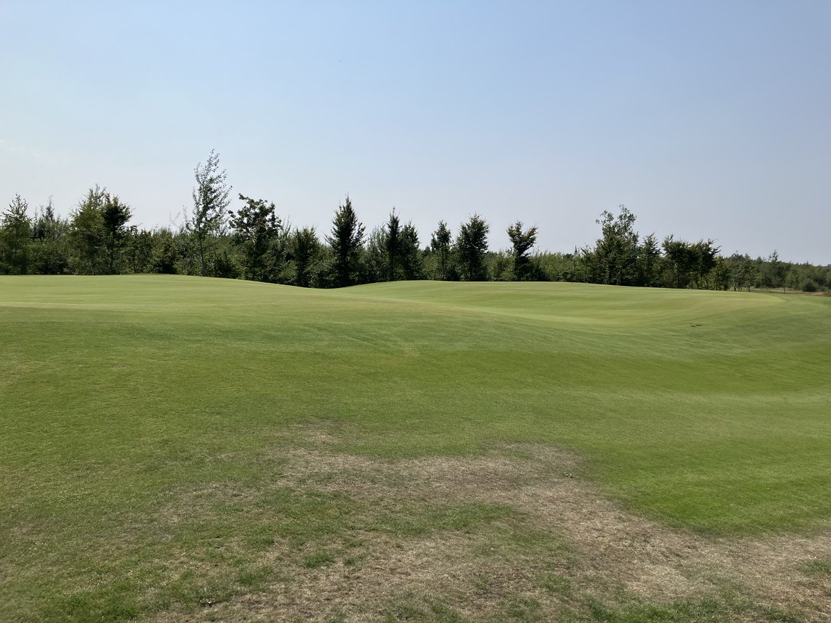 Amerifietser tweet media