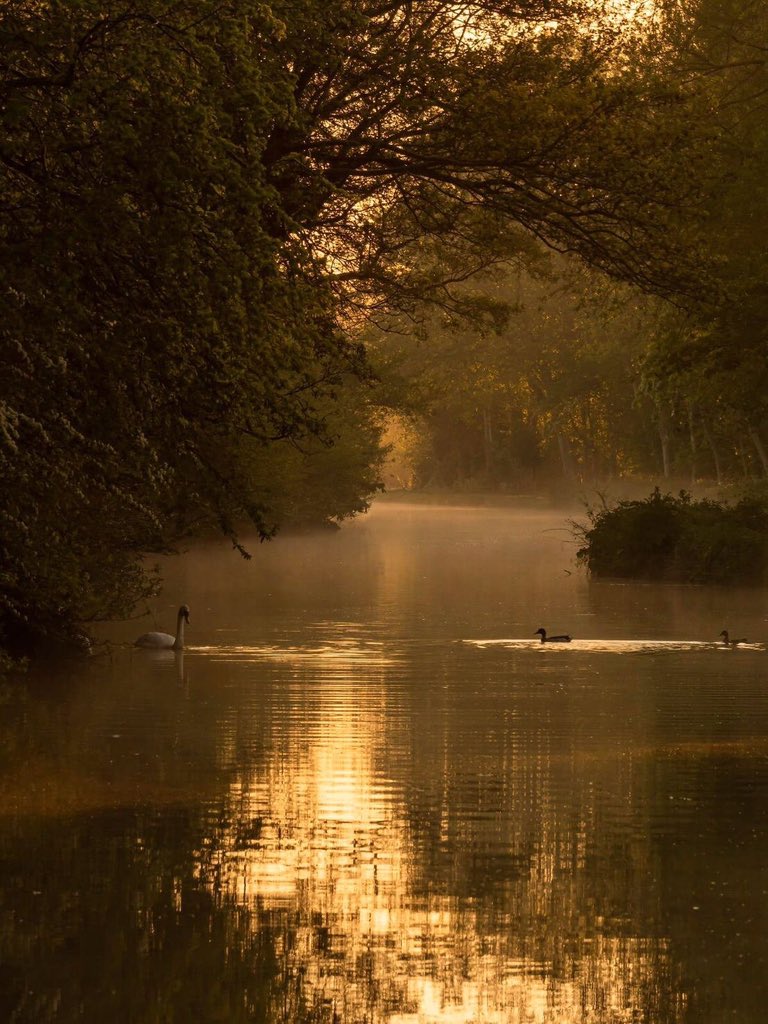 Mary story 

𝖀𝖓𝖙𝖎𝖑 𝖜𝖊 𝖒𝖊𝖊𝖙 𝖆𝖌𝖆𝖎𝖓
-𝕭𝖊𝖌𝖎𝖓𝖎𝖓𝖌 𝖕𝖆𝖗𝖙-

ค่ำคืนในหมู่บ้านเล็ก ๆ ริมป่า ลมหนาวพัดเอื่อยพาเอากลิ่นดอกไม้ป่าปะปนกับกลิ่นคลุ้งควันไฟจากเตาเรือน แมรี่เดินถือกระบุงใบเล็ก ผ่านลานหญ้าเพื่อกลับบ้าน
+