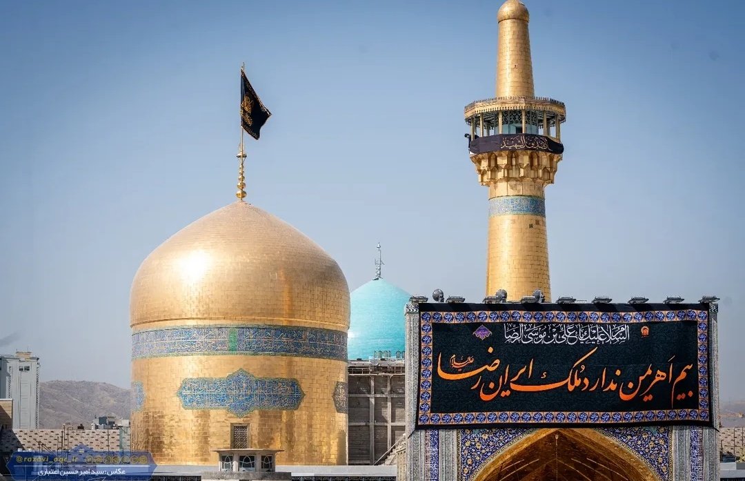 خانم میم :)) tweet media