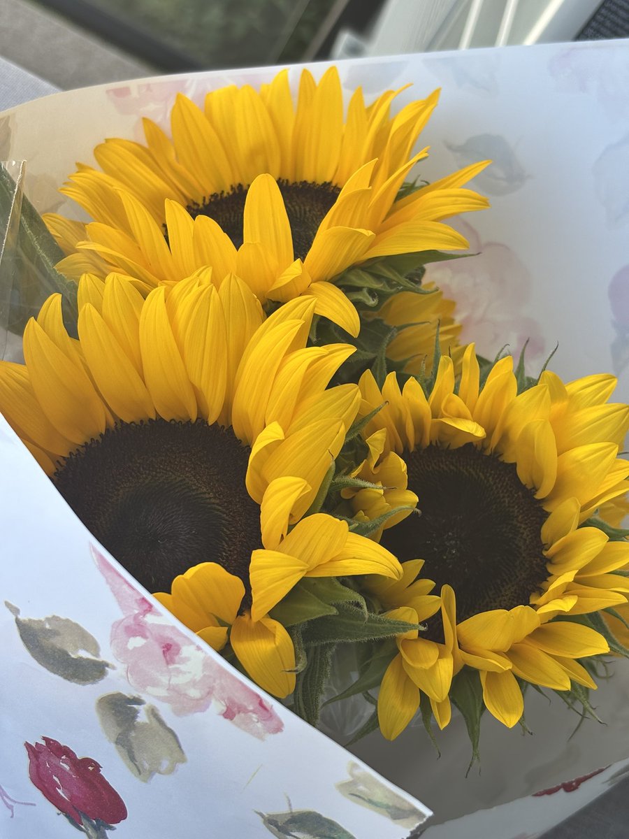 lumyeerr's tweet image. 🌻