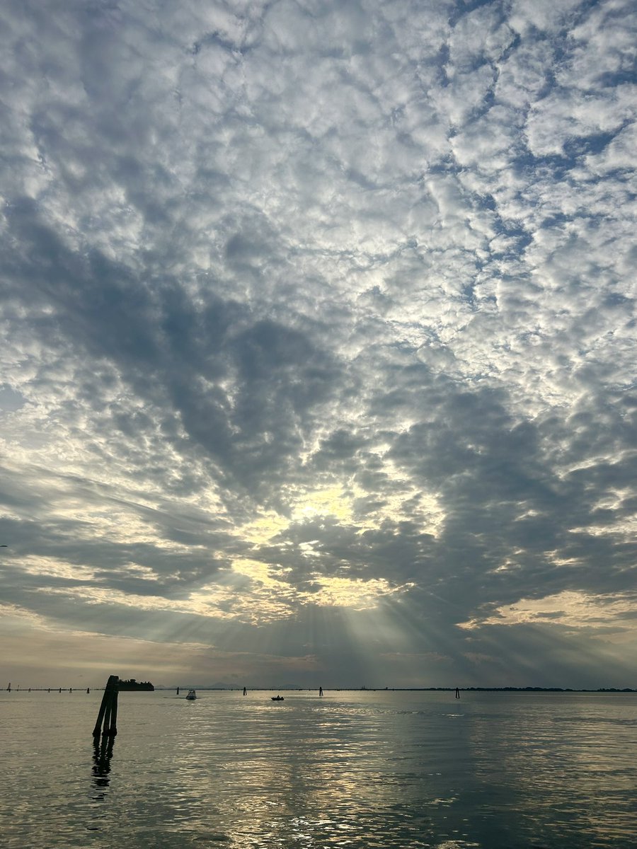 walteredicola  tweet media