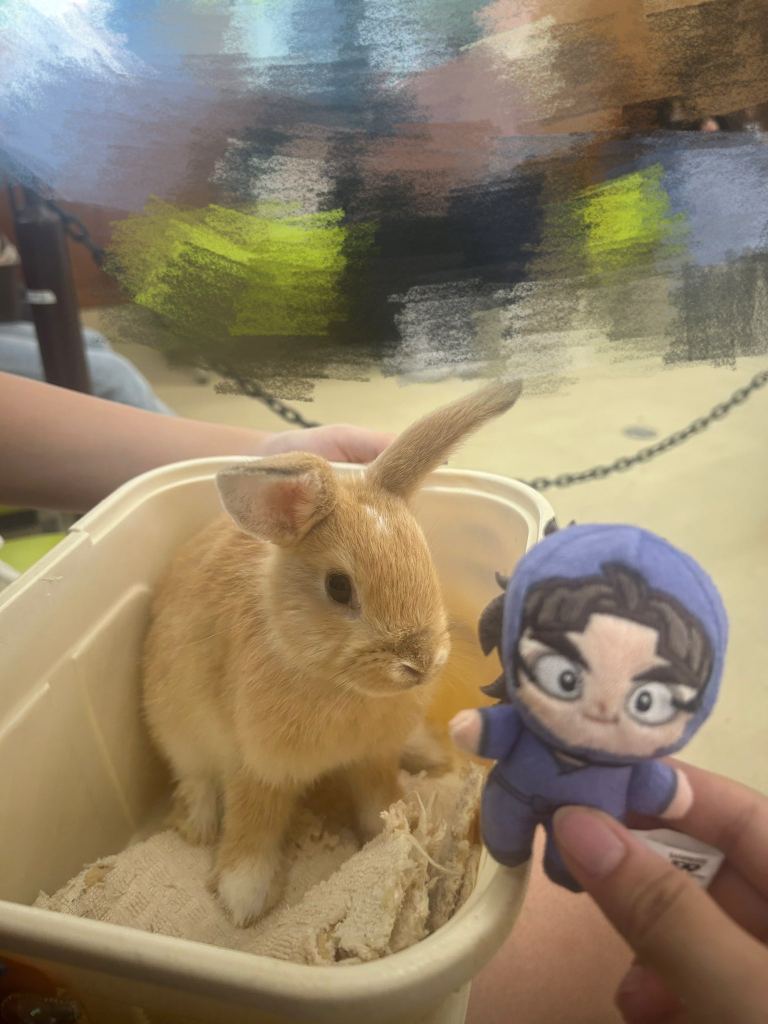うさぎさん もな on X: 