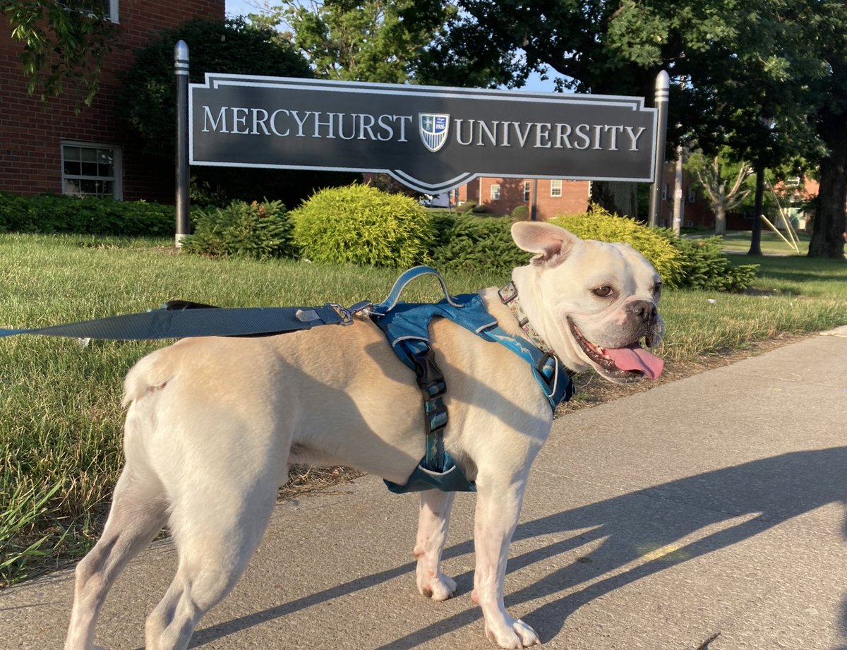 Shawn Bednard (@callmebednard) on Twitter photo The first day of college football seems timely enough for such news!
Excited to announce I’m joining the <a href="/MercyhurstU/">Mercyhurst University</a> broadcast crew to call Football, M/W Hockey, & M/W Basketball.
Thanks to <a href="/EmilyBlount10/">Emily Blount</a> & <a href="/HurstAthletics/">Mercyhurst Lakers</a> Communications for the opportunity. #CarpeD1em🍀 The first day of college football seems timely enough for such news!
Excited to announce I’m joining the <a href="/MercyhurstU/">Mercyhurst University</a> broadcast crew to call Football, M/W Hockey, & M/W Basketball.
Thanks to <a href="/EmilyBlount10/">Emily Blount</a> & <a href="/HurstAthletics/">Mercyhurst Lakers</a> Communications for the opportunity. #CarpeD1em🍀