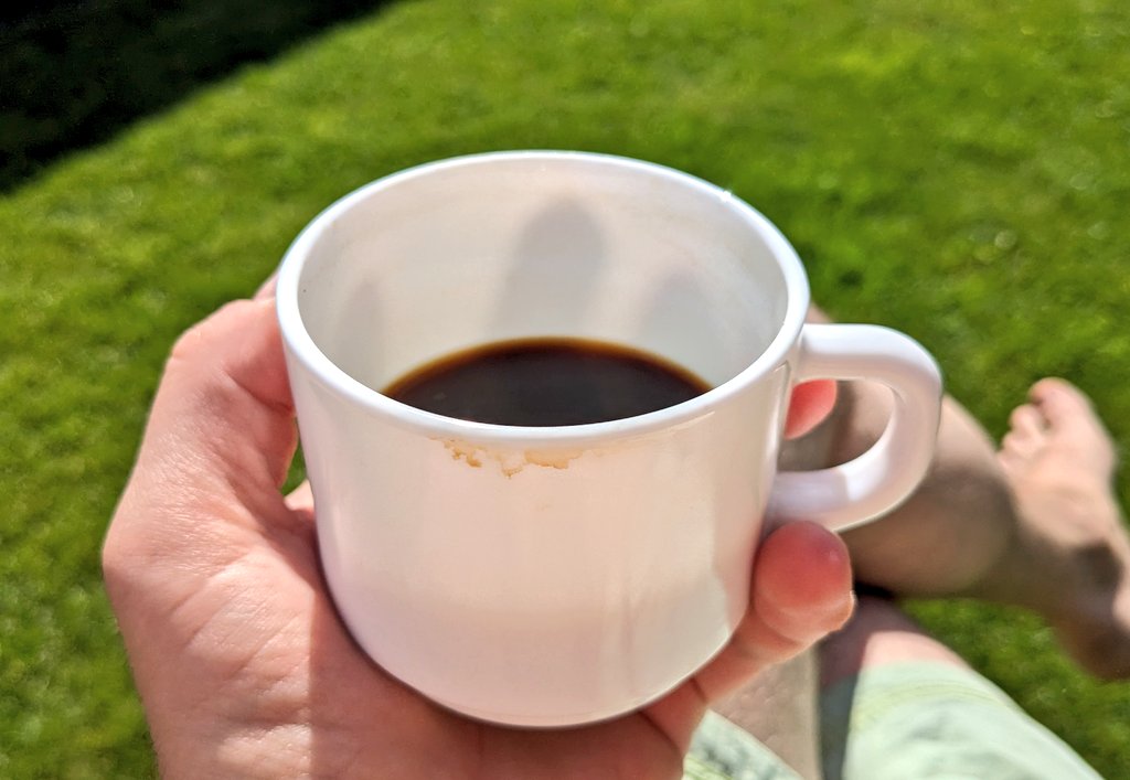 Газон який споживає більше питної вони, ніж один район Донецька