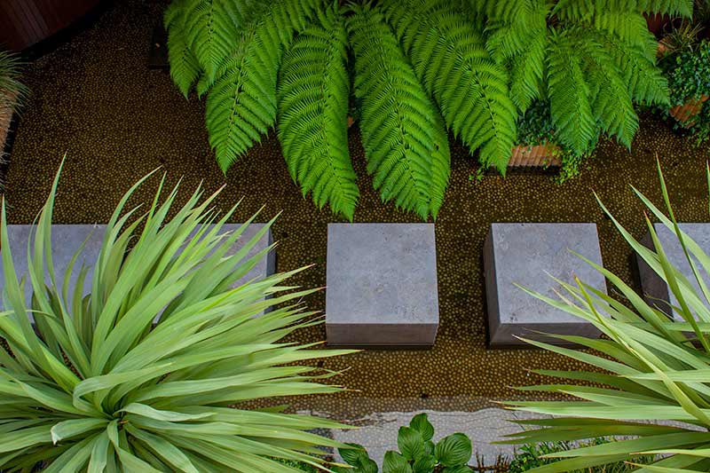 DamienKeane's tweet photo. A great example of how our lush planting schemes can totally transform the junction between house and garden. 

#gardendesign #dublingarden #design #landscaping #bespoke #outsidespace #waterfeature #damienkeanegardendesign #projectmanagement #exterior https://t.co/iMrUNkn7JM