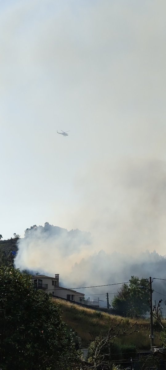 Cazón 🍍 tweet media