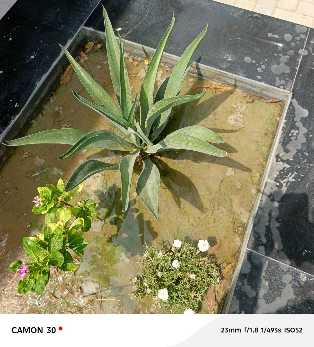 RhythmPiink's tweet image. Hip