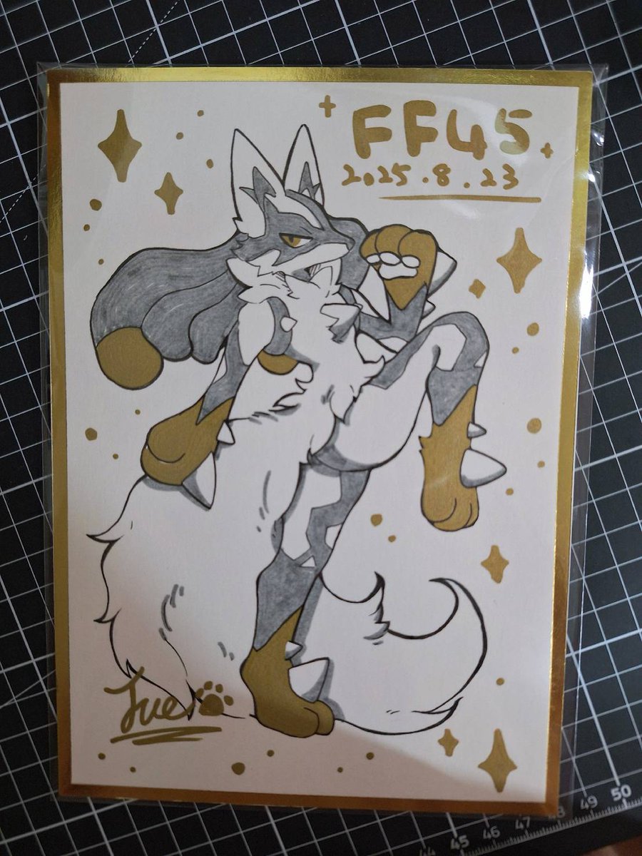 FF45 D2
Autograph board showcase – Bidding has ended
サイン色紙の展示–入札は終了しました。
#Pokemon #ポケモン