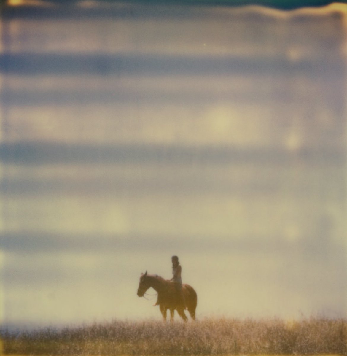 Stefanie Schneider (2006): Renée's Dream (Days of Heaven)