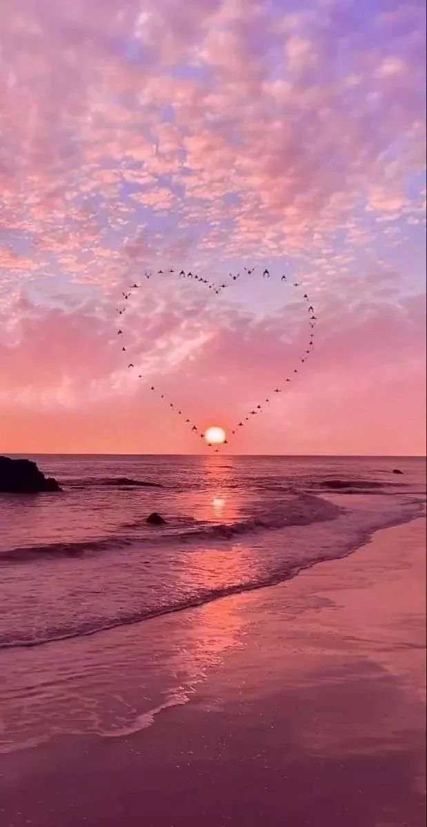 Sol ☼ (@solithra) on Twitter photo 
